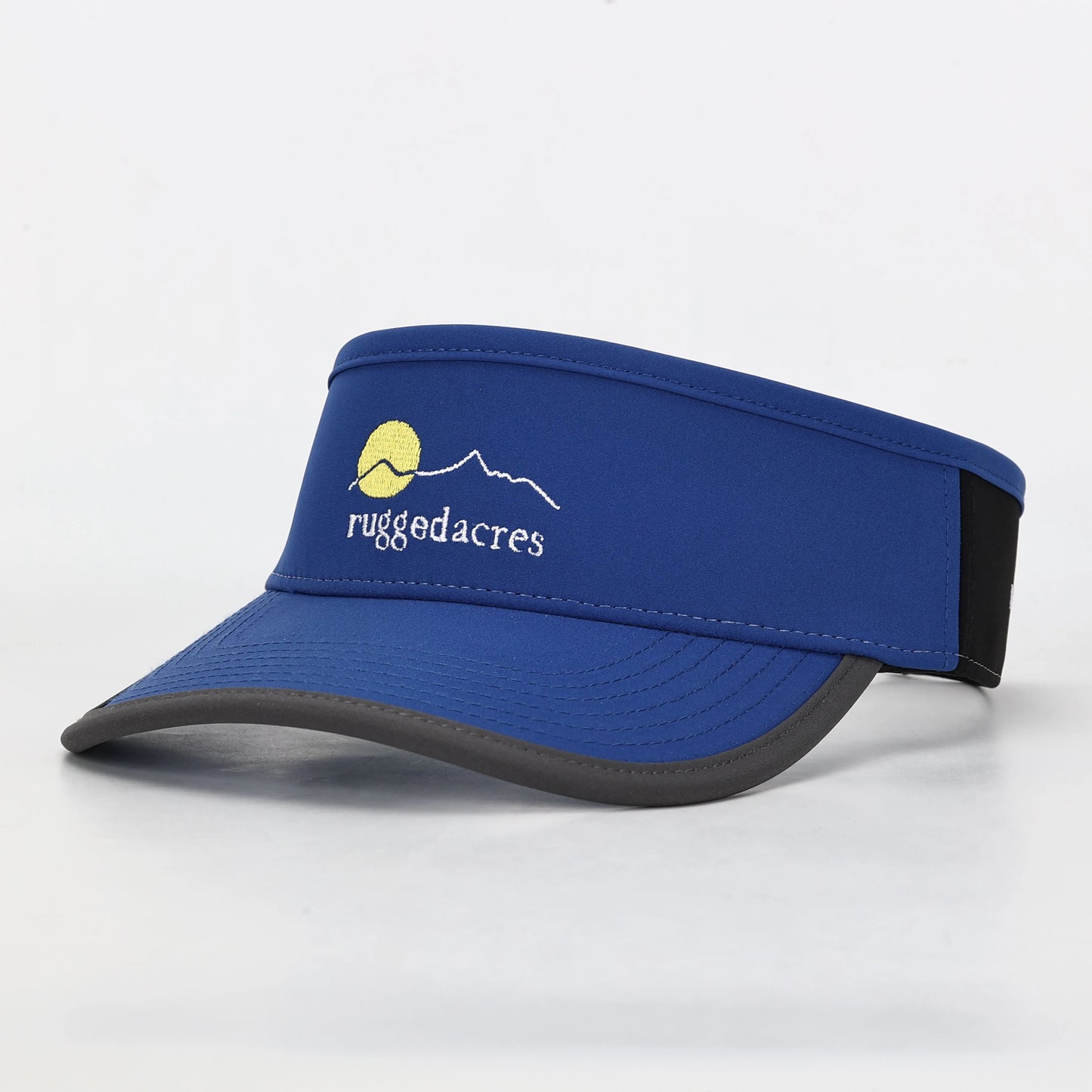 Visor