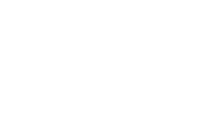 wisely-transparent-BG